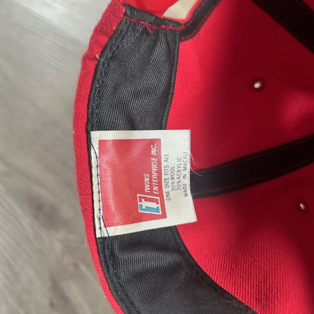 Vintage Detroit Red Wings Hat Snapback NHL Hockey Red Twins Enterprise Cap - Picture 4 of 9